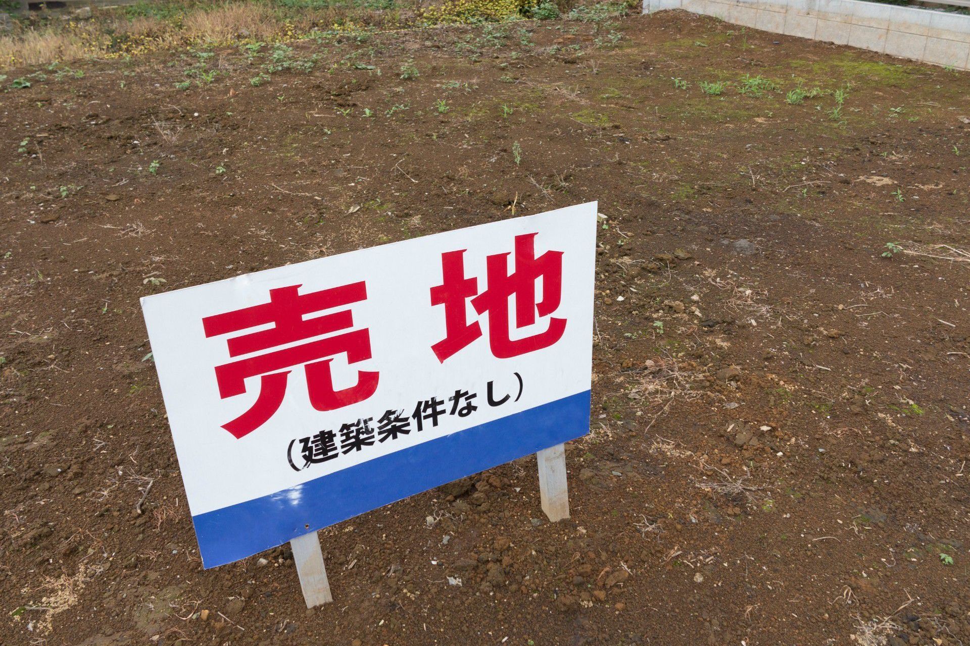 土地